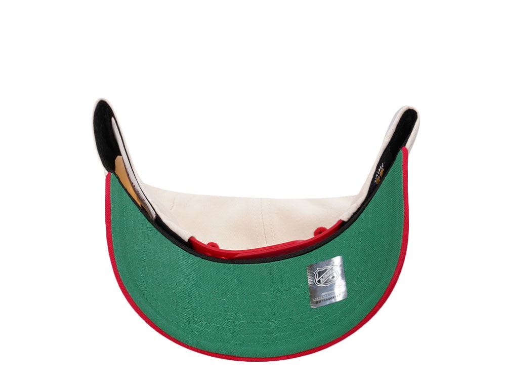Mitchell & Ness Detroit Red Wings Horizon Two Tone Pro Crown Fit Snapback Gorra
