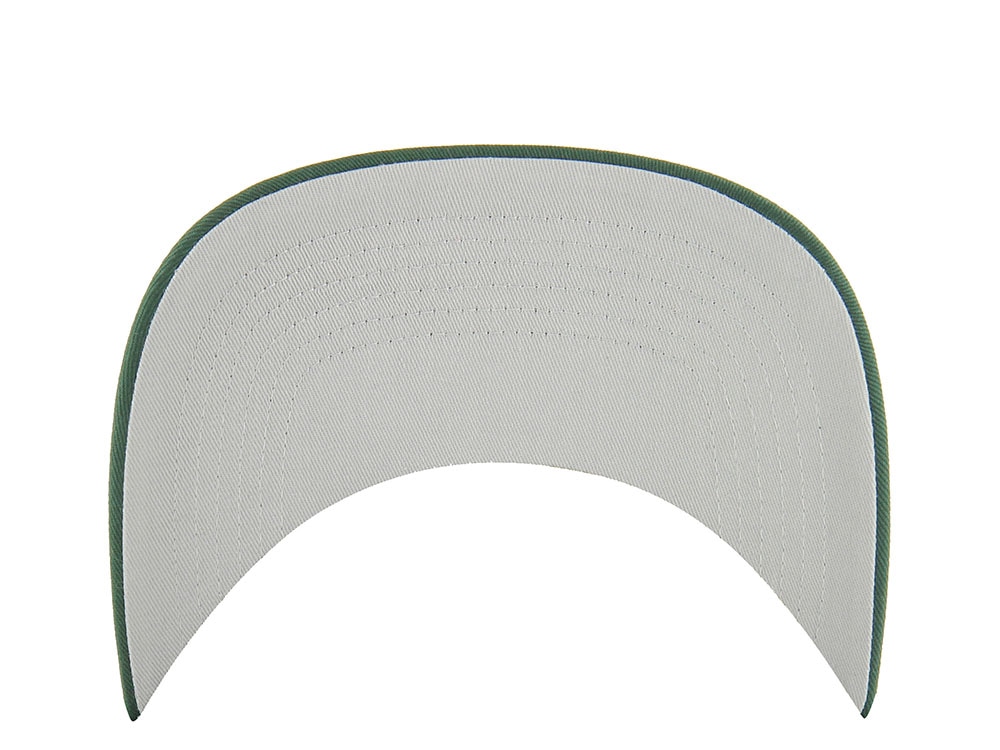 47Brand Green Bay Packers Dark Green Classic Edition Hitch Snapback Gorra