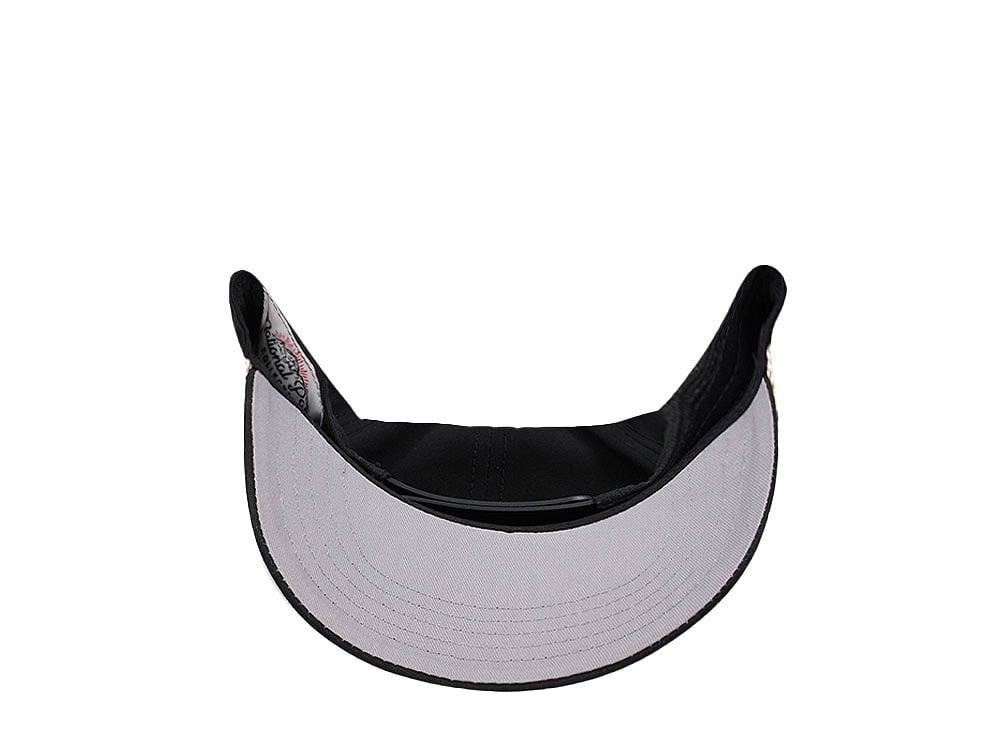 American Needle Yosemite NP Canvas Black Casual Snapback Gorra