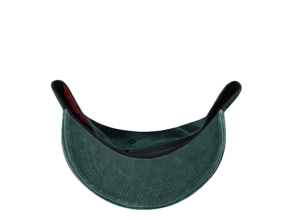 American Needle Woodsy Owl Walker Dark Green Snapback Gorra