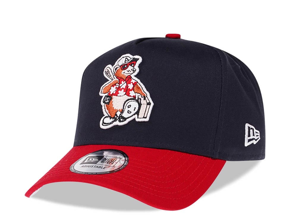 New Era Asheville Tourists Two Tone Prime Edition 9Forty A Frame Snapback Gorra