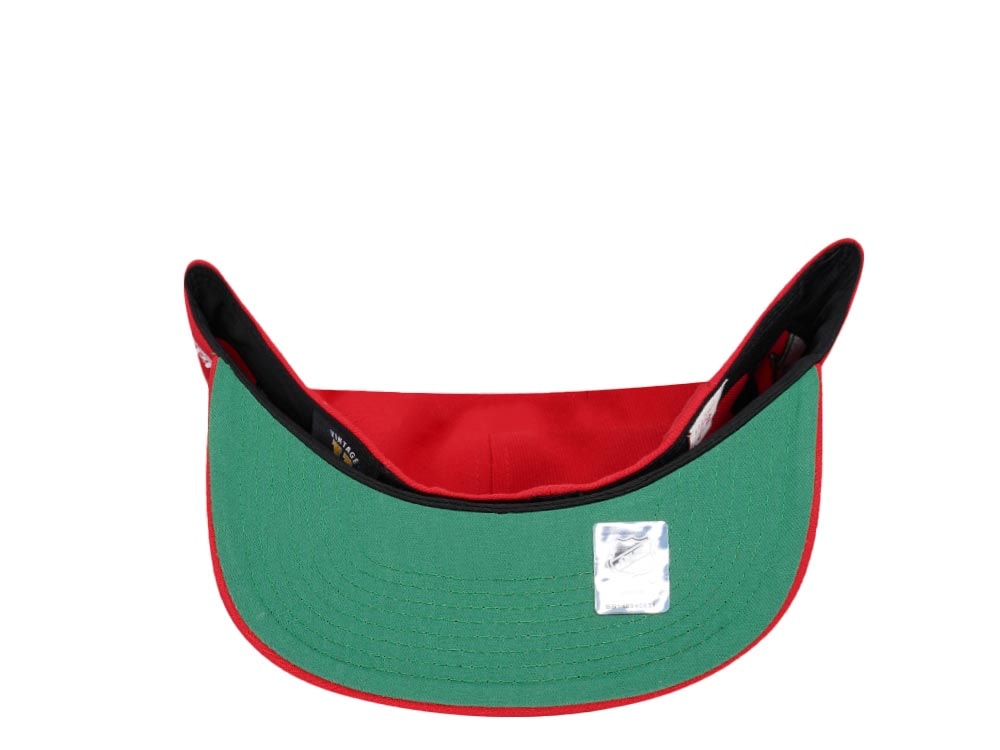 Mitchell & Ness New Jersey Devils 10th Anniversary Vintage Edition Dynasty Fitted Gorra