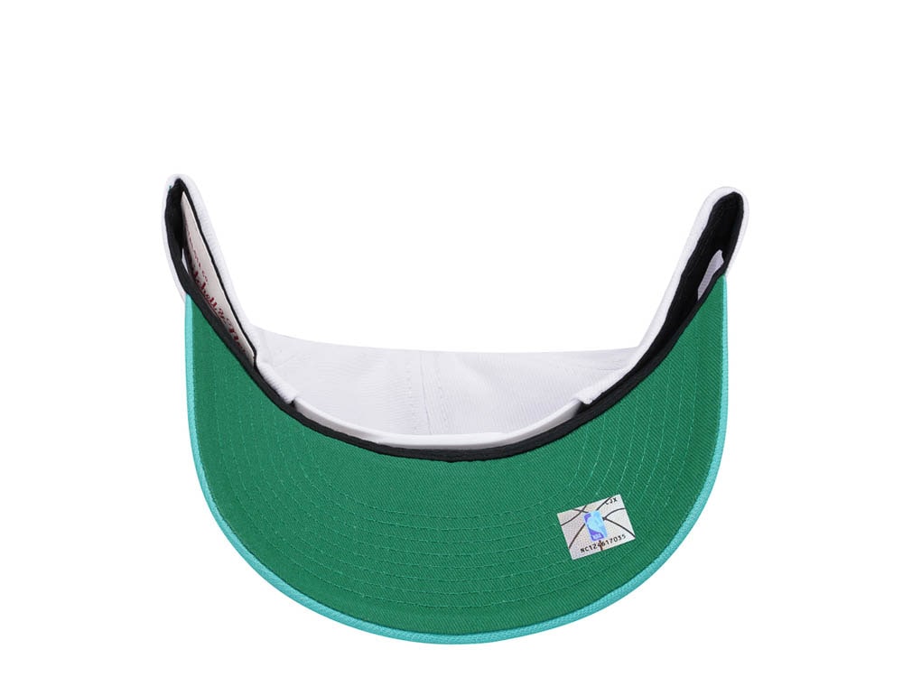 Mitchell & Ness Vancouver Grizzlies Team Two Tone 2.0 Pro Snapback Gorra
