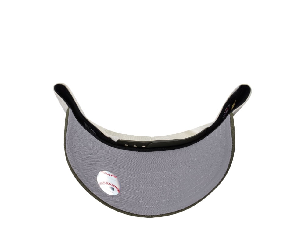 New Era Chicago Cubs Be Alert Chrome Two Tone Edition 9Forty A Frame Snapback Gorra