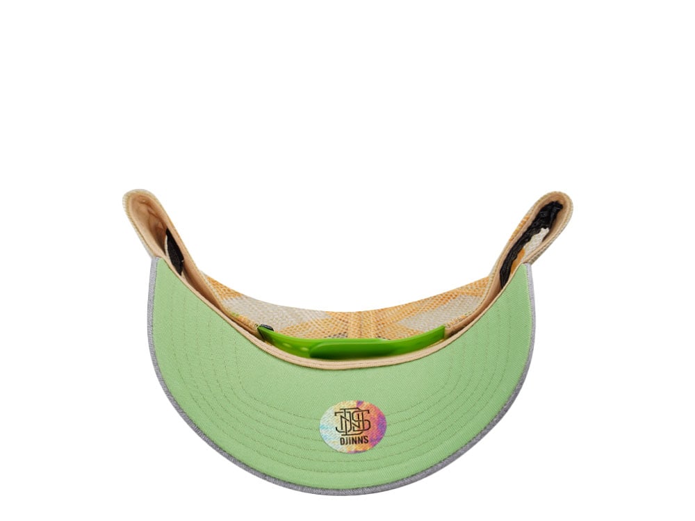 Djinns Do Nothing Club Multicolor Trucker Snapback Gorra