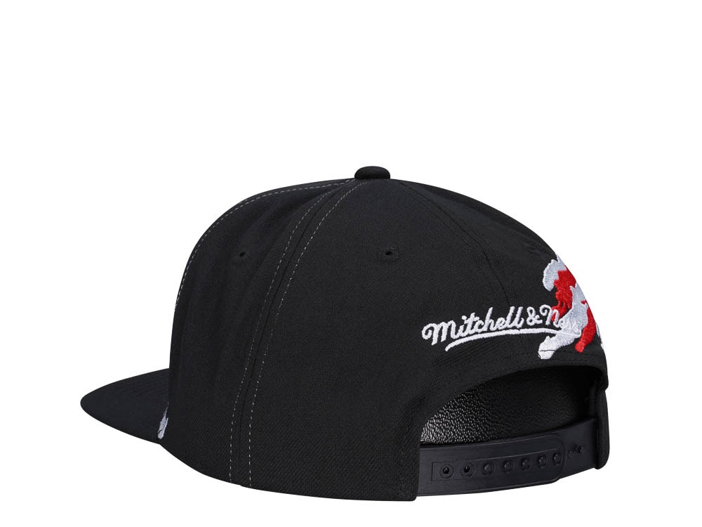 Mitchell & Ness Detroit Red Wings Vintage Paintbrush Snapback Gorra