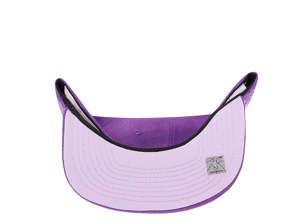Mitchell & Ness Toronto Raptors Purple Hardwood Classic Snapback Gorra