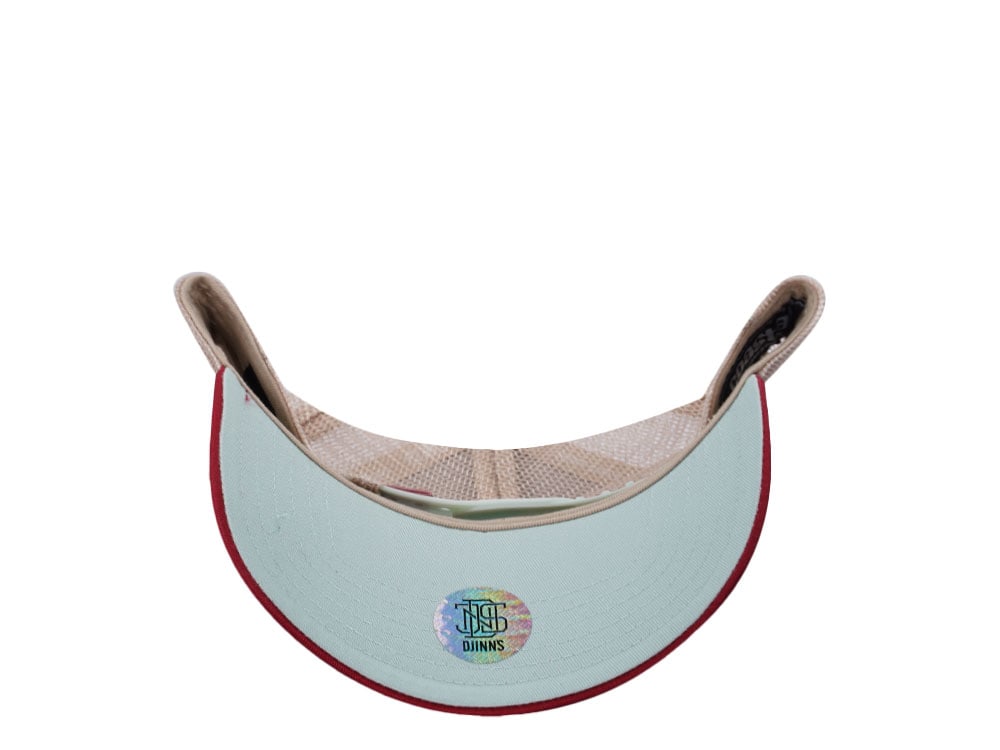 Djinns HFT High Lines Offwhite Two Tone Edition Trucker Snapback Gorra