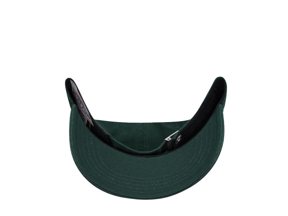 American Needle Olympic National Park Hepcat Dark Green  Strapback Gorra