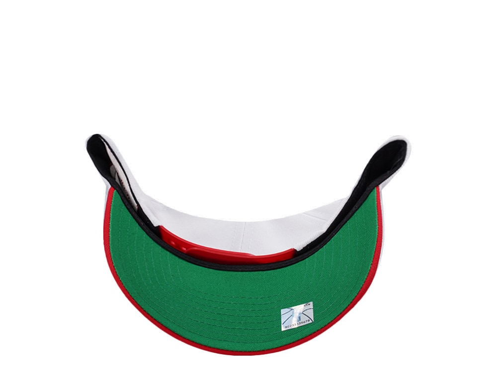 Mitchell & Ness Chicago Bulls NBA Playoffs 1996 Chrome Two Tone Editon Pro Crown Fit Snapback Gorra