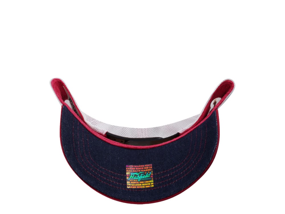 Hatfield Big Cock Navy White Trucker Snapback Gorra