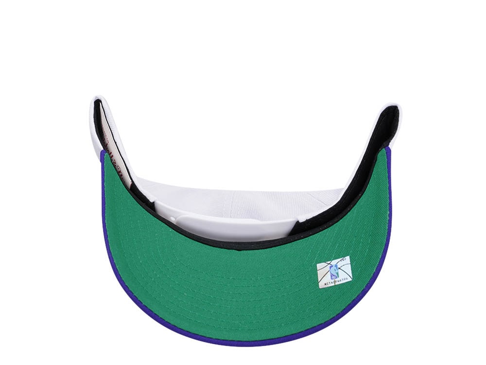 Mitchell & Ness Charlotte Hornets Team Two Tone 2.0 Pro Snapback Gorra