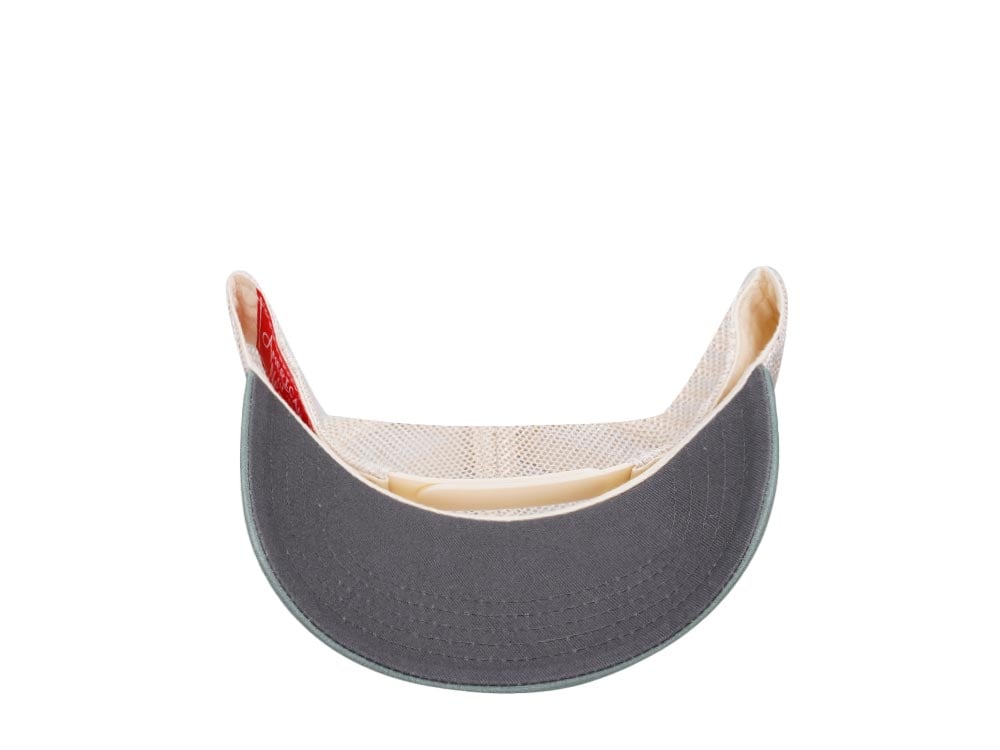American Needle Vermont Domino Ivory Cool Gray Cedar Trucker Snapback Gorra