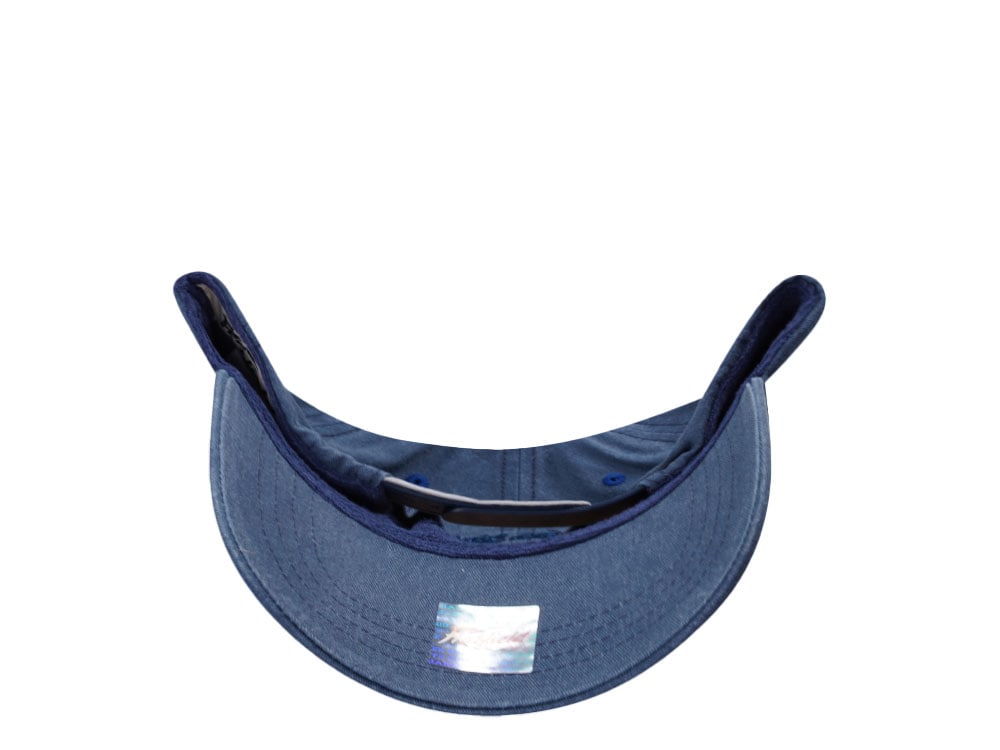 Hatfield Baby Shark Blue Snapback Gorra