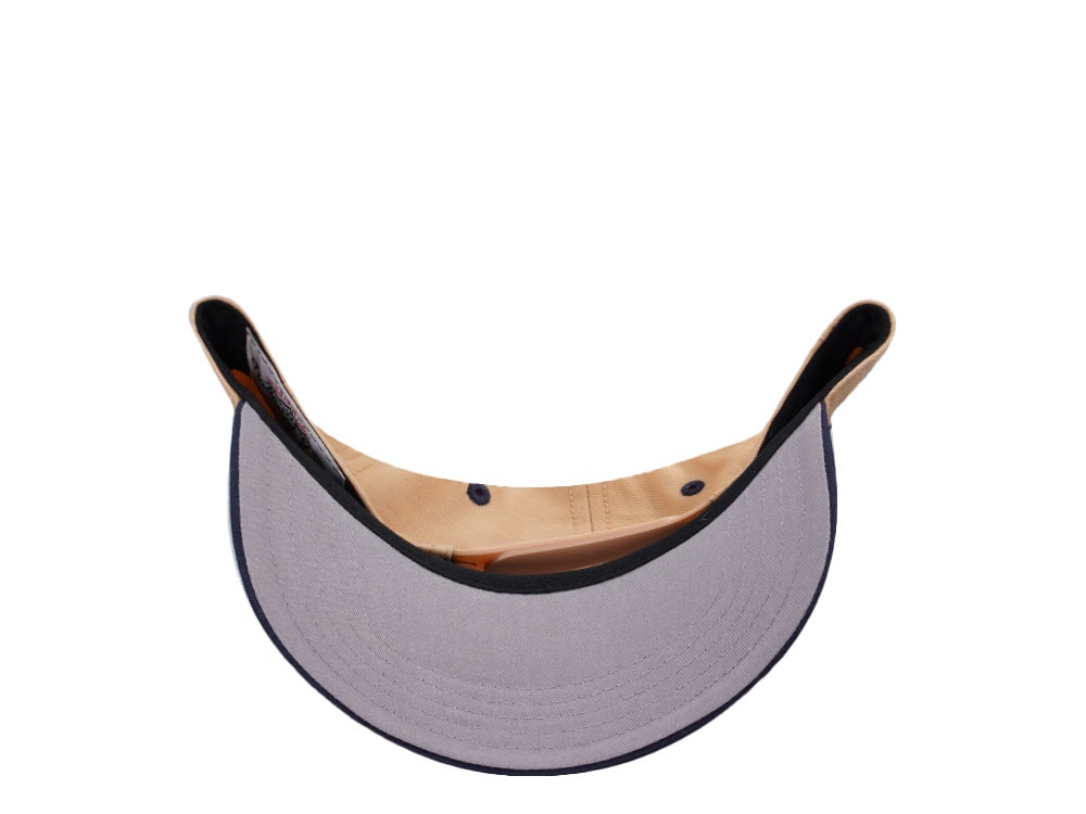 American Needle Yellowstone National Park Roscoe Beige Snapback Gorra