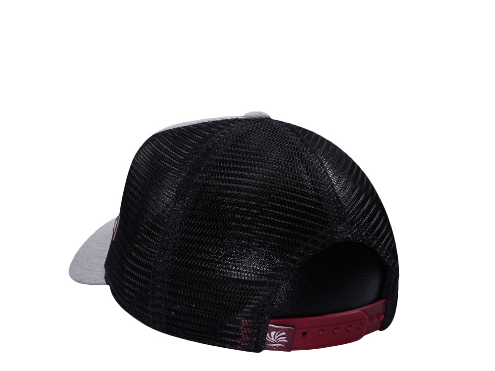 Djinns See You Out There Gray Trucker Snapback Gorra