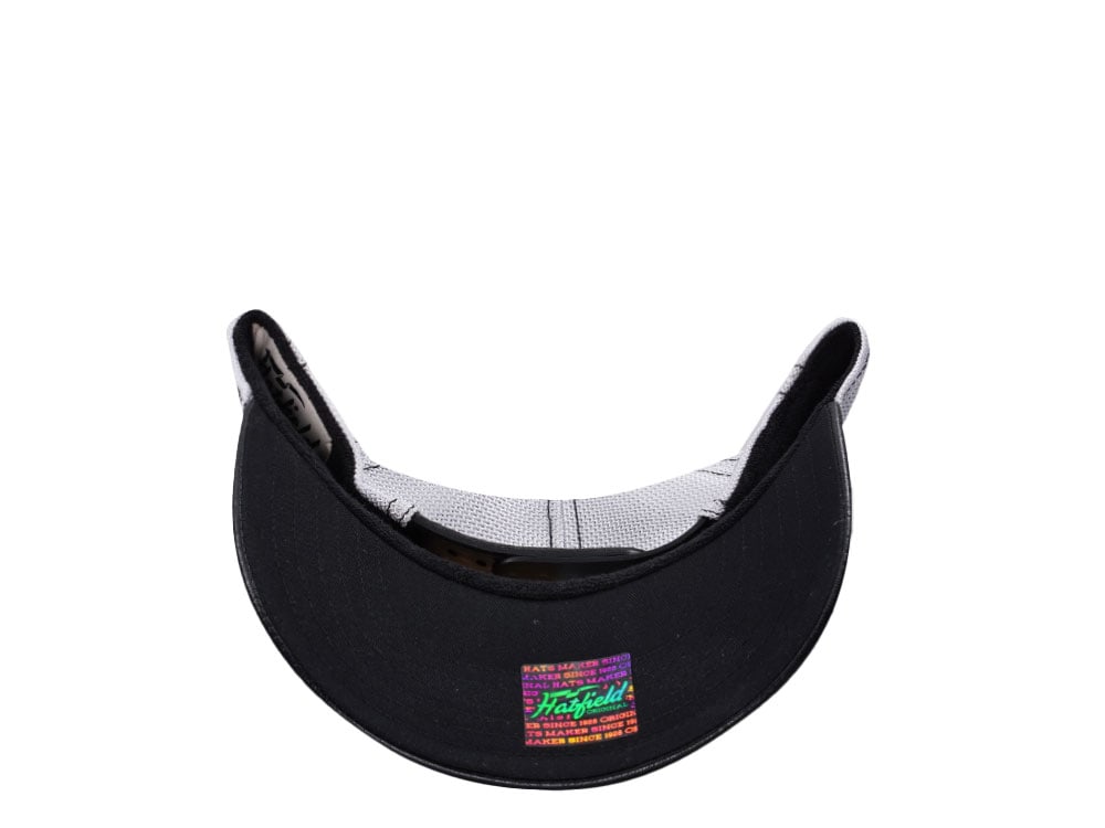 Hatfield Bison Brown White Trucker Snapback Gorra