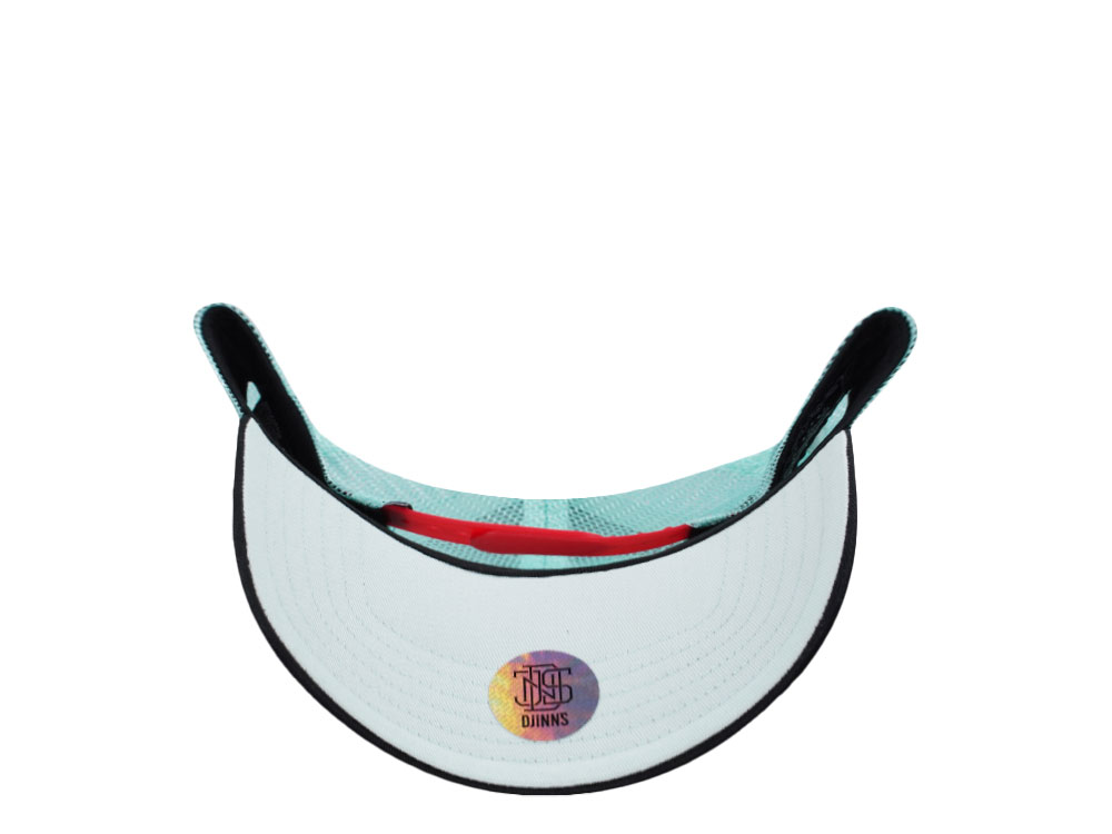 Djinns Street Disco Mint Trucker Snapback Gorra