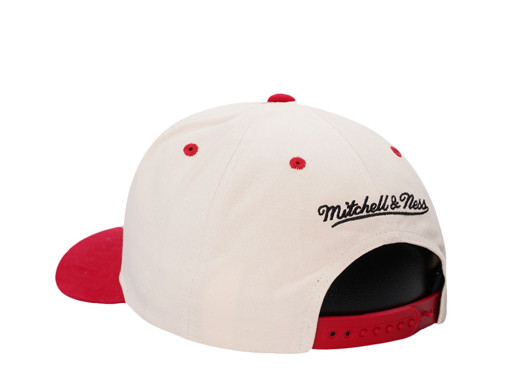 Mitchell & Ness Detroit Red Wings Horizon Two Tone Pro Crown Fit Snapback Gorra