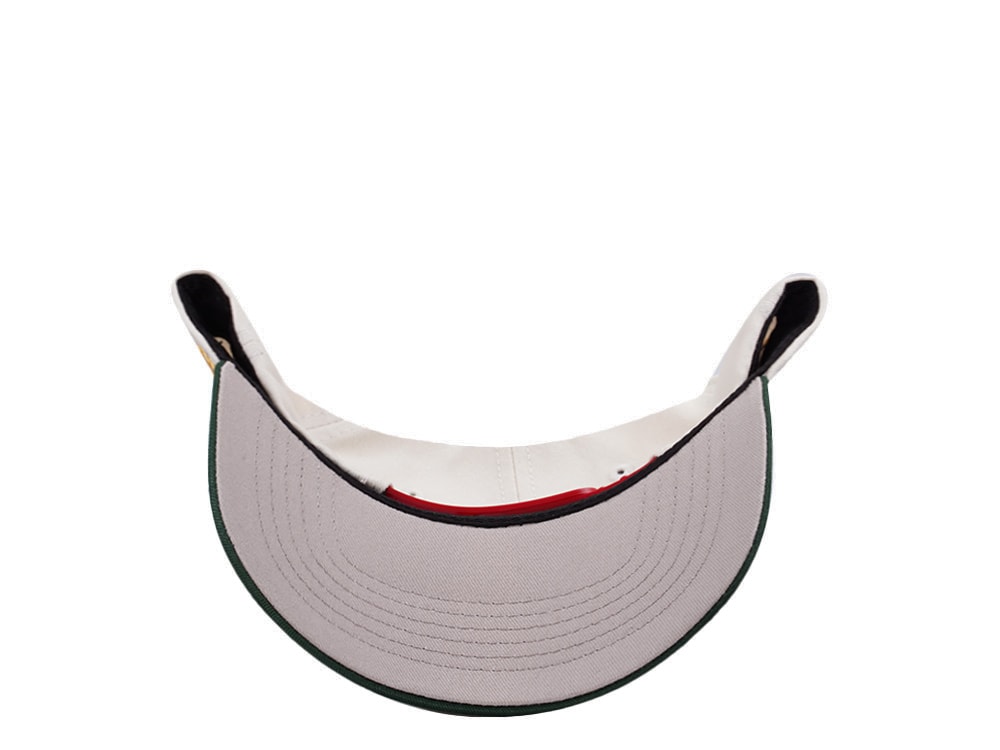 Parallel Union Mexico Skull Headdress Chrome Two Tone Edition Snapback Gorra