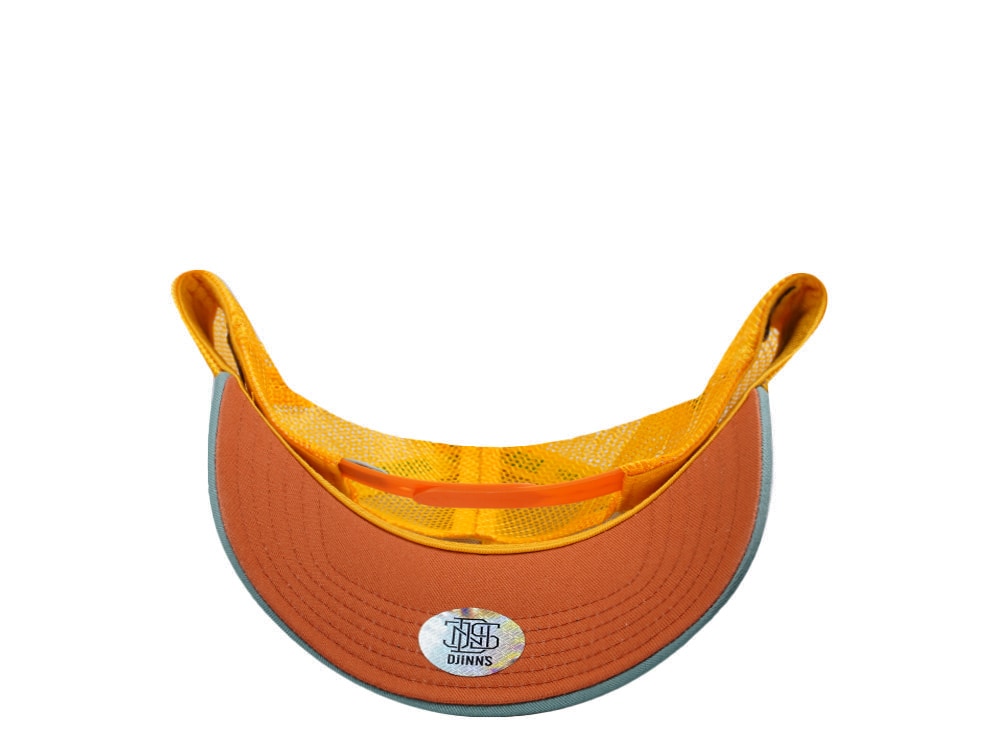 Djinns HFT Surfing Is Dead Grey Coastal Edition Trucker Snapback Gorra