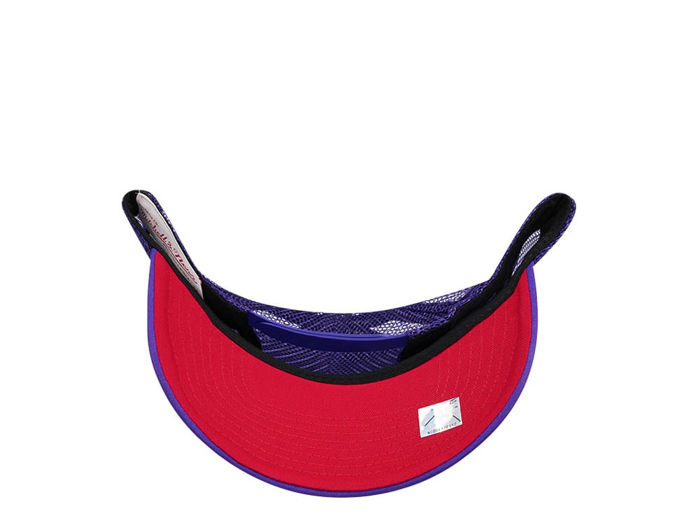 Mitchell & Ness Toronto Raptors Purple Billboard Trucker Snapback Gorra