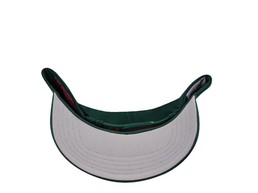 American Needle Mack Truck Twill Valin Patch Green Snapback Gorra