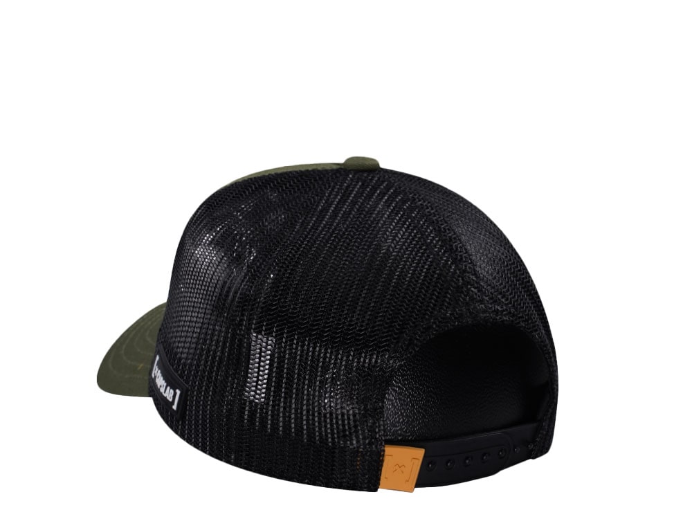 Capslab Legend of Zelda Link Trucker Snapback Gorra