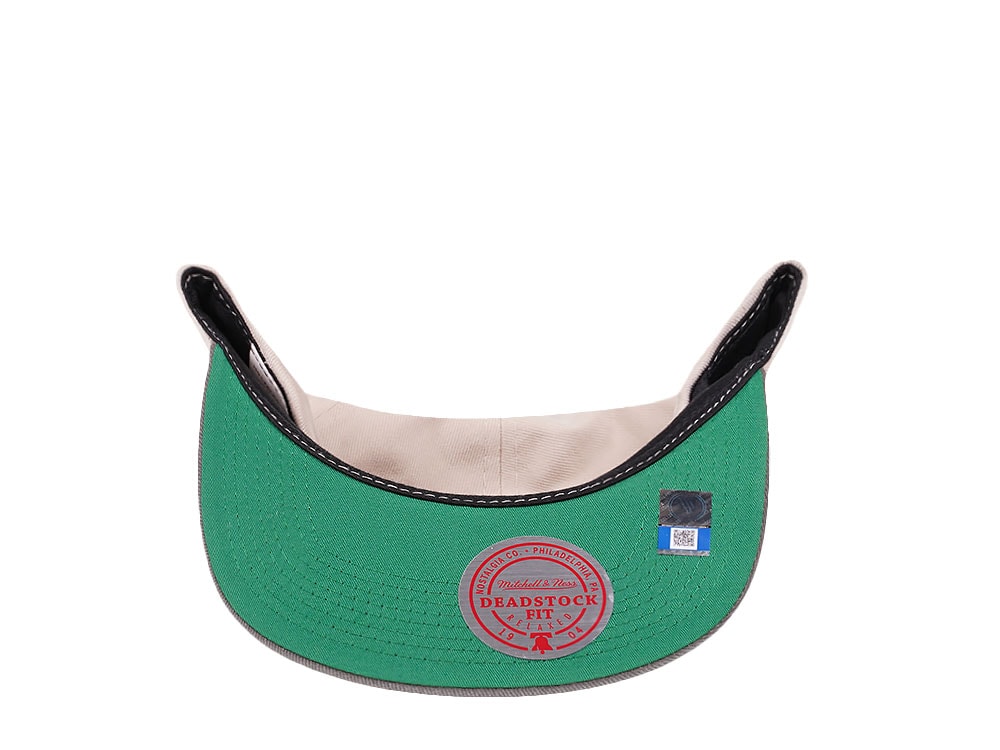 Mitchell & Ness Michigan Wolverines Deadstock Throwback Snapback Gorra