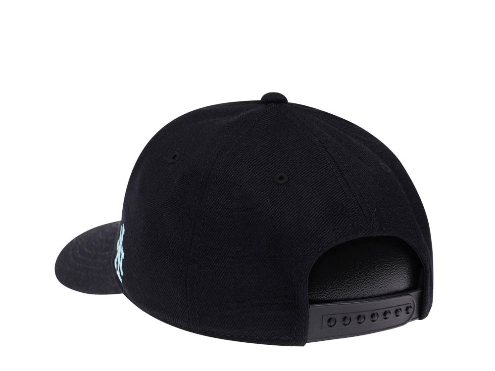 American Needle Yosemite National Park Black Snapback Gorra