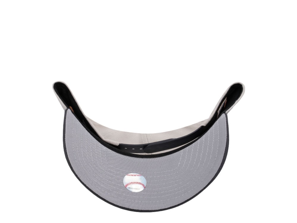 New Era Minnesota Twins Inaugural Season 2010 Metallic Two Tone Edition 9Forty A Frame Snapback Gorra
